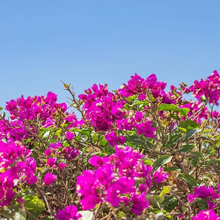 Villa Catrina - Plusholidays Ifach