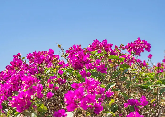 Villa Catrina - Plusholidays Ifach